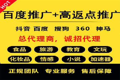 某电商平台sem竞价运营的突破与挑战